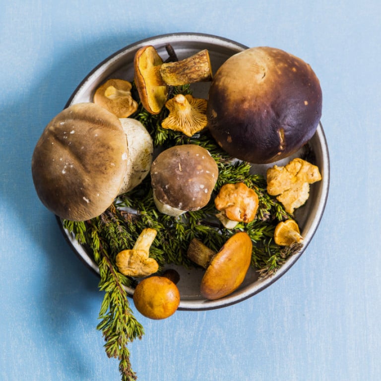 geiri_smart_matur_myndataka039